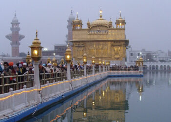 Bring Them Back Home