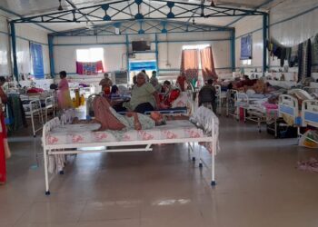 आधुनिक युग की तकनीक है ड्रोन